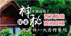 鸡巴狠狠操我视频