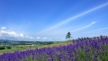 插BB视频青春网站日本一地6日游  境外旅游 6880元/人